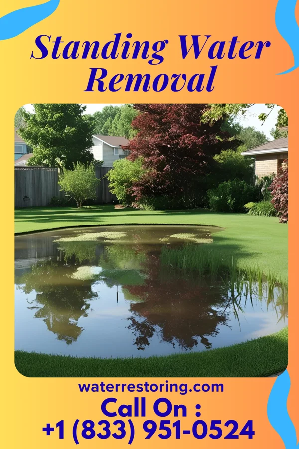 Standing Water Removal in Dadeville, MO